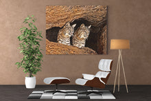 Bobcat Cave Wall Art