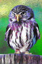 Owl Wall Art